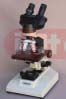 BINOCULAR RESEARCH MICROSCOPE, 9310